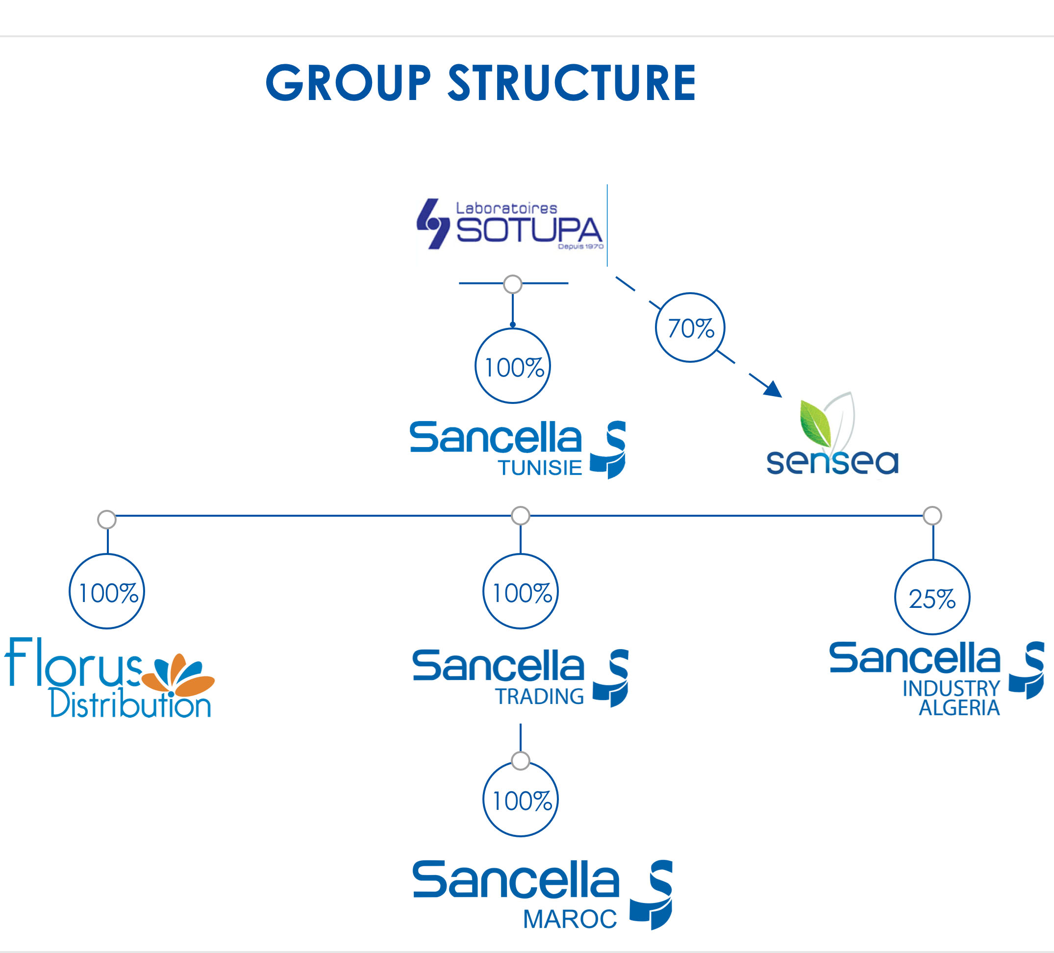 Group Structure Sancella